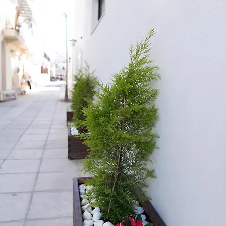 Apartment Zen By The Sea