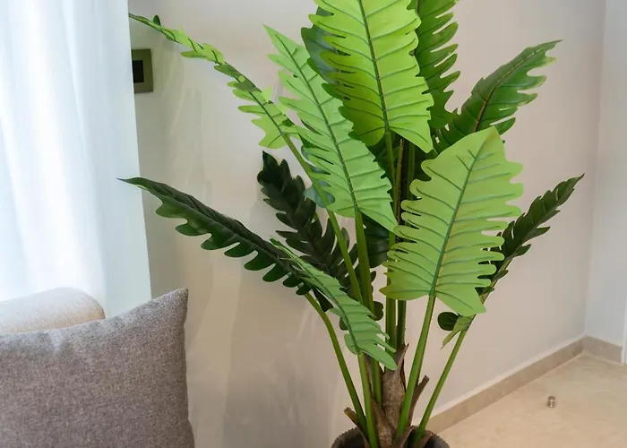 Zen By The Sea * بلدة كوس